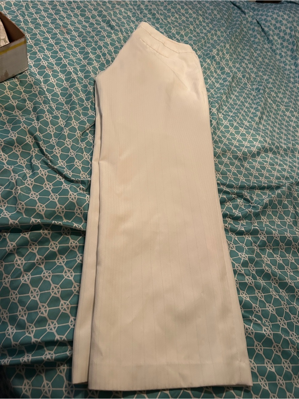 Cato Ivory Wide-Leg Women's Pants